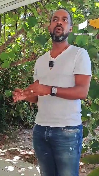 [GUYANE] Davy Rimane a enquêté sur les faits qui concernent l’affaire du collège Dédé