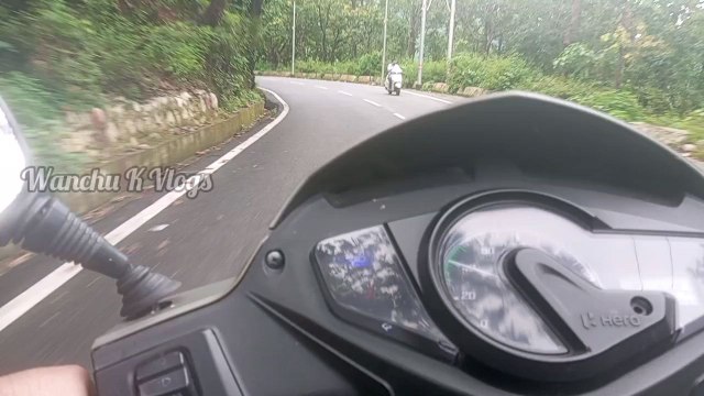 Feeding Monkeys my home grown mangoes