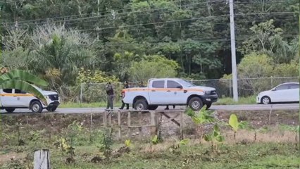 Bocas del Toro: Hallan cuerpo semienterrado en el sector de Milla 11, distrito de Changuinola