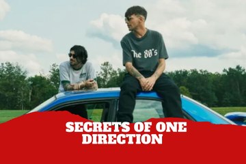 Former One Direction members will share unseen moments from the band on Netflix