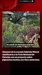 Alumnos de la escuela Gabriela Mistral clasificaron a la Feria Nacional de Ciencias con un proyecto sobre pigmentos hechos con flora autóctona.