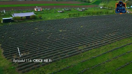 Iubire cu parfum de lavanda Sezon 3 Episodul 4 din 3 Octombrie 2025 Online Gratis pe Internet, Antena Play Gratis