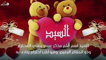 معنى اسم السيد