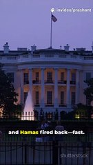 Shocking Hamas Reaction to Trump's Peace Plan—Full Statement in Seconds!