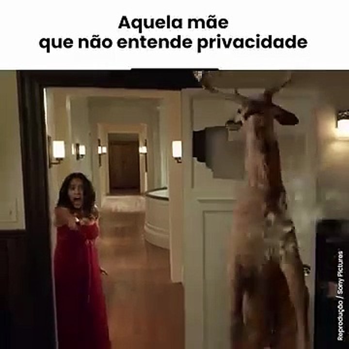 Deer in home