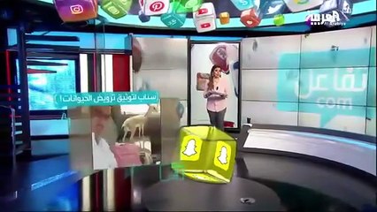 بالفيديو.. شاهدي السعودي الذي يتحدّث إلى الحيوانات المفترسة ويأمرها لتطيعه