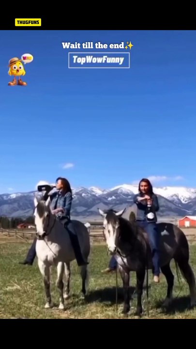 Funny fails - Meme Shorts Gone WILD! 😂🔥 Instant Laughs