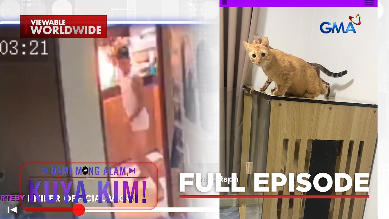 Mga hayop, naramdaman ang paparating na lindol?; Kalan, nagliyab! | Dami Mong Alam, Kuya Kim!