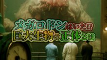 メガロドンはいたのか!?巨大生物の正体とは…