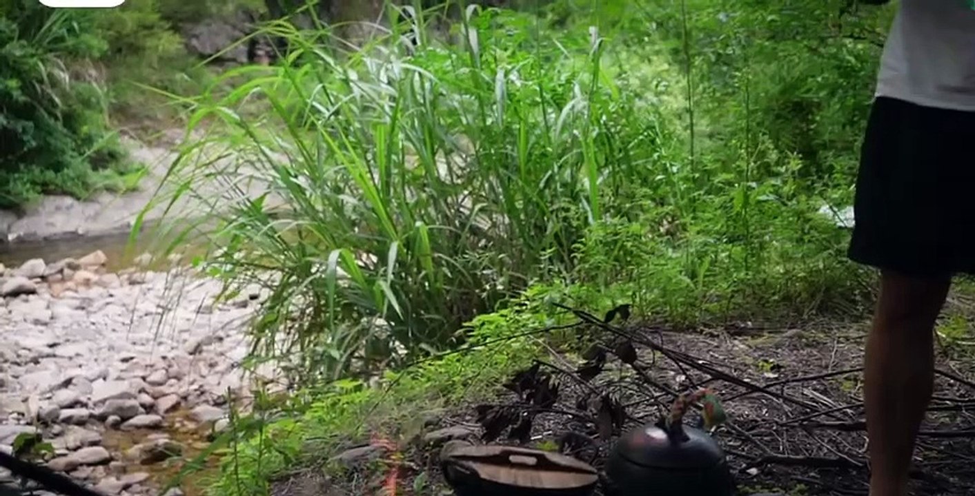 Campfire Cooking Hacks You’ll Wish You Knew Sooner /22/