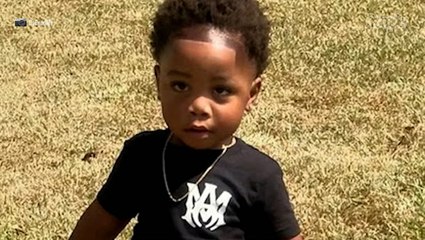 2-Year-Old Boy Killed by Daycare Owner's Rottweilers After She Left Him Alone to Take a Nap