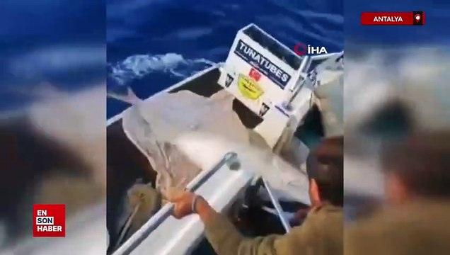 Antalya'da olta ile 60 kiloluk balık yakaladılar gelirini kimsesiz çocuklara bağışladılar