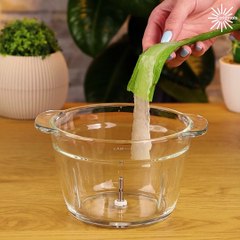 Unveiling Aloe Vera's secrets 👏😍