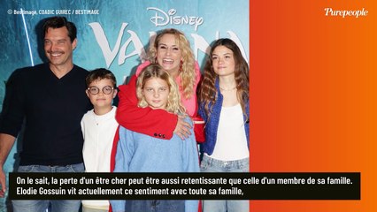 "Tu es et resteras de notre famille" : Elodie Gossuin, Bertrand Lacherie et leurs enfants face à la perte d'un membre de leur clan