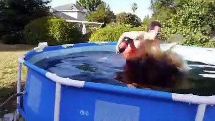 بالفيديو.. شاب يلقي بنفسه داخل بركة مياة غازية لإثبات وجهة نظره!