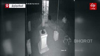 கோயிலுக்குள் புகுந்து எண்ணெய் குடித்த கரடிகள் - வைரலாகும் வீடியோ!