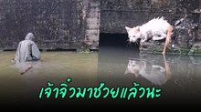 เรื่องราวทำใจฟู เห็นน้องแมวพลัดตกคลองไม่ปล่อยผ่าน ลุยน้ำช่วยชนปลอดภัย