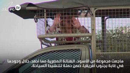 مها أحمد تصاب بنوبة صراخ بسبب الأسود!