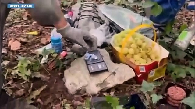 Albavilla, spaccio di droga nei boschi: arrestato 23enne