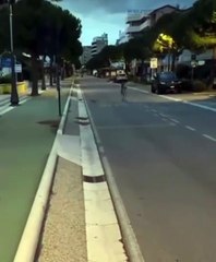 Daino avvistato in viale Carducci a Cesenatico