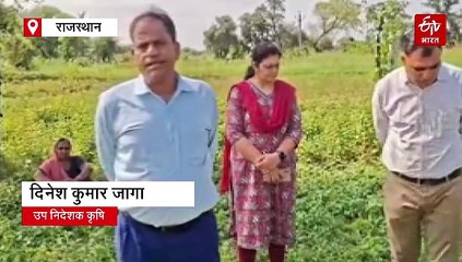 किसानों पर दोहरी मार: बेमौसम बरसात ने डुबोई कटी फसलें और अटकाई रबी की बुवाई