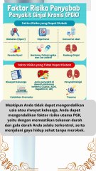 Apa saja Faktor Risiko Penyebab Penyakit Ginjal Kronis (PGK)