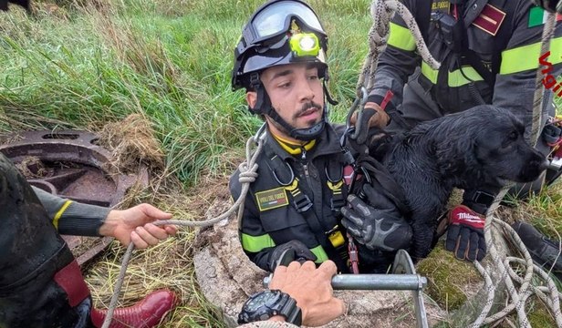 Cane cade in un pozzo: salvato dai Vigili del Fuoco (04.10.25)