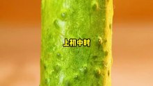 推文小说
