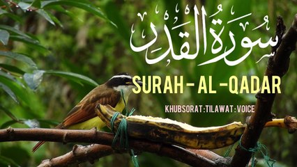 🦜Surah Al Qadar | سورۃ القدر کی تلاوت | Beautiful Quran Recitation”🦜