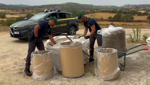 Maxi sequestro di marijuana in azienda agricola: 2mila piante e 276 chili nascosti (04.10.25)