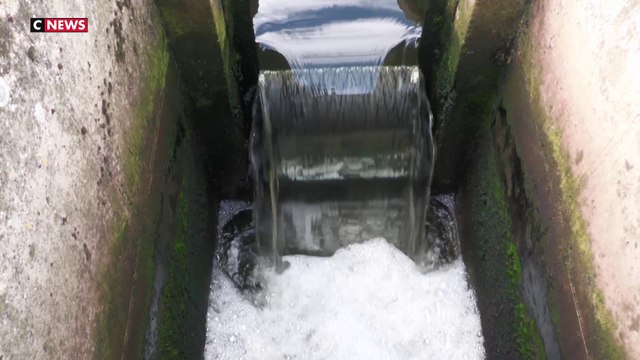 Vendée : l'eau de plus en plus épurée grâce à un filtre innovant