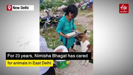 World Animal Day: Stray Animals In East Delhi Have A Friend In Nimisha Bhagat