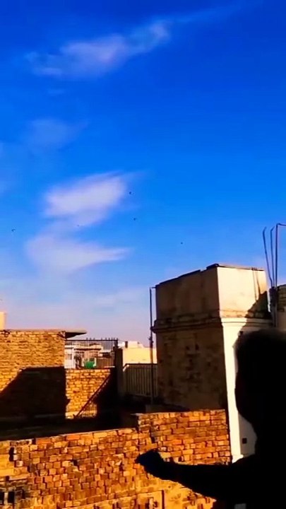 🧶Full video biig Kite Flying