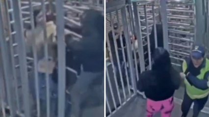 VIDEO | Recién salido de la cárcel y su pareja fueron sorprendidos robando con cuchillo en Transmilenio