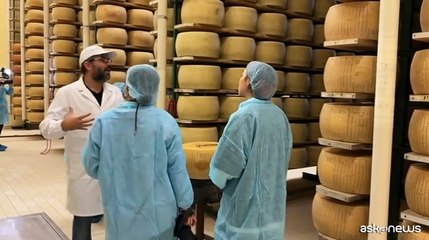 Boom Parmigiano Reggiano: caseifici aperti ed export da record