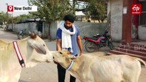 Ghaziabad's Harry Chaudhary Who Made Life Of Stray Animals On Roads Safe Through Reflective Collars
