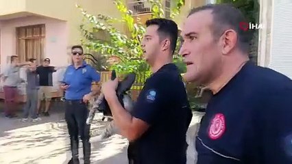 Dolabın Arkasında Saklanan Kedi Alevlerden Çıkarıldı