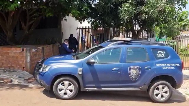 Pitbull salva vítima de tentativa de feminicídio atacada com faca pelo próprio irmão
