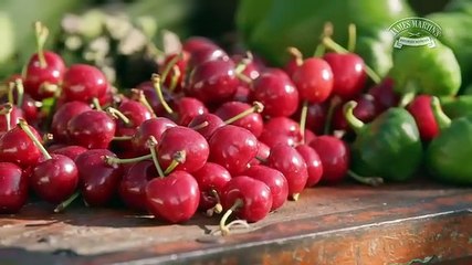 Saturday Morning with James Martin - Season 9 Episode 6 - James Morrison, Aktar Islam, Shivi Ramoutar and Daniel Clifford