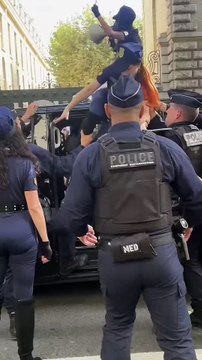 Regardez les forces de l'ordre sont intervenues cet après-midi à Paris devant le défilé Hermes, alors que l'association Peta voulait dénoncer l'utilisation de peaux d'animaux par la célèbre marque de luxe