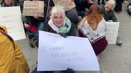 Bernadette - pro-Palestine Action protester