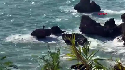 Kayalıkta mahsur kaldı, ekipleri beklemeden yüzerek kıyıya çıktı