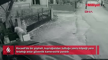 Yavru köpeği kuyruğundan tutup yere fırlattı; o anlar kamerada