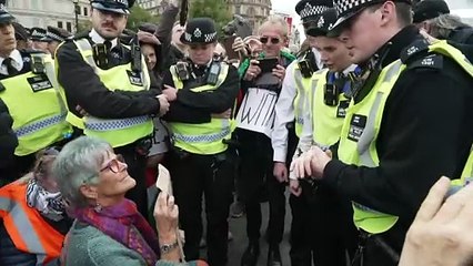 Police make 175 arrests at pro-Palestinian protest in London