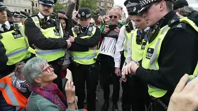 Police make 175 arrests at pro-Palestinian protest in London