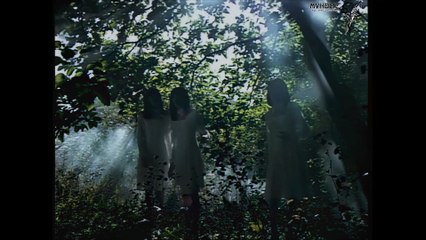 Tam Ca Áo Trắng - Quỳnh hương [OFFICIAL MV] [4K HD REMASTERED]