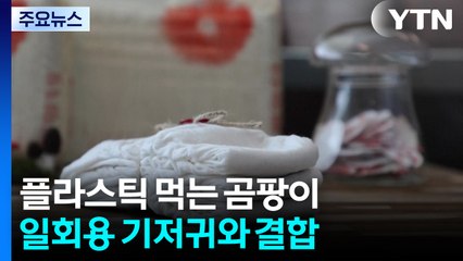 플라스틱 분해 곰팡이와 결합한 1회용 기저귀 / YTN