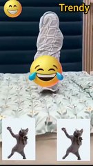 Trendy Video