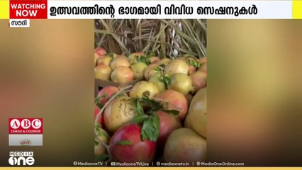 സൗദിയിലെ ത്വായിഫിൽ മുന്തിരി-ഉറുമാമ്പഴ ഫെസ്റ്റിവലിന് തുടക്കമായി