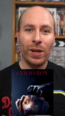 Good Boy (2025) (REVIEW) | Projector Shorts | Horror from a dog's POV